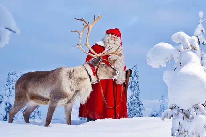 Reindeer Sleigh Ride and Farm Experience from Rovaniemi - Meeting point and timing: the part that can trip you up