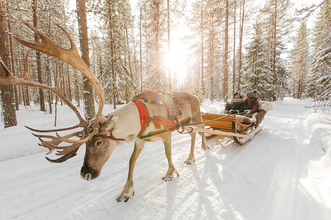 Reindeer Sleigh Ride and Farm Experience from Rovaniemi - Finnish snacks and hot blueberry juice: the comfort break you’ll notice