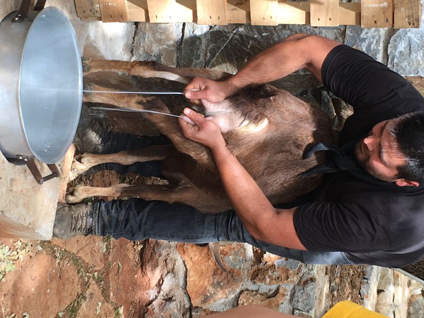 Rethymno 4x4 Safari: Tastes & Farm Experience - Key highlights worth planning for