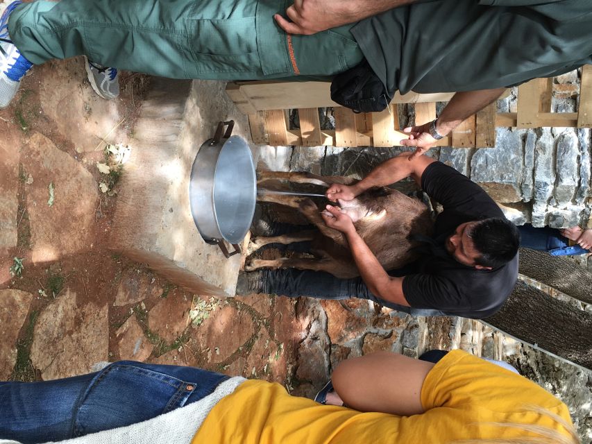 Rethymno 4x4 Safari: Tastes & Farm Experience - Melidoni Olive Oil Mill: How Liquid Gold Gets Made
