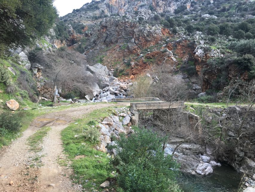 Rethymno 4x4 Safari: Tastes & Farm Experience - The Off-Road Viewpoint: Where Wildlife Shows Up If You Pay Attention