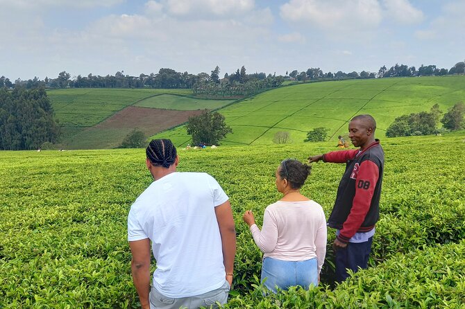 Riara tea farm tour with lunch and tea tasting from Nairobi - Key highlights you’ll actually care about