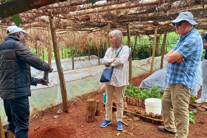 Riara tea farm tour with lunch and tea tasting from Nairobi - The best part: a Kenyan-owned tea farm day with real people behind it