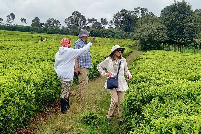 Riara tea farm tour with lunch and tea tasting from Nairobi - Two Rivers Mall and Village Market in Gigiri: familiar breaks in a busy day