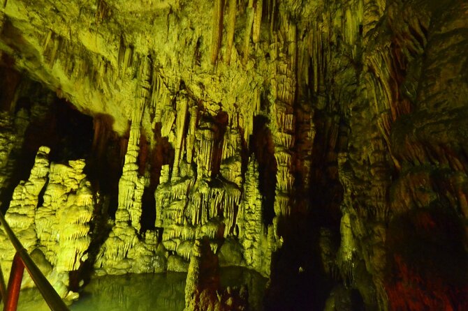 Road-trip to Lasithi, Zeus Cave, Vidiani, Krasi & Olive Mill Farm - Lyrakis Family olive mill farm: what you get, what you pay for, and why it matters