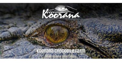 Rockhampton: Koorana Crocodile Farm Guided Tour - The 90-Minute Guided Flow: Talk, Video, Farm Walk