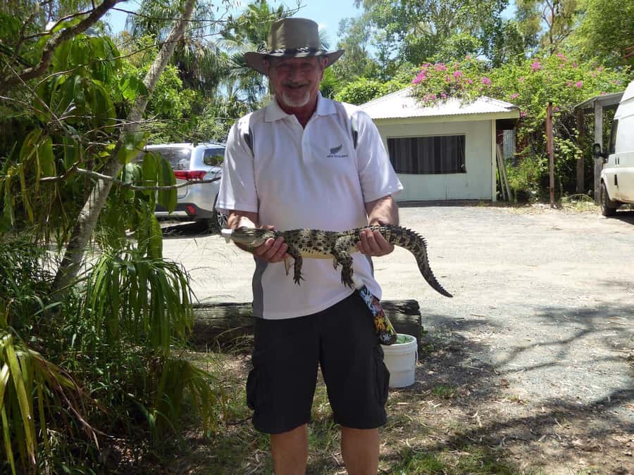 Rockhampton: Koorana Crocodile Farm Guided Tour - Price and Value: Is $28 for 90 Minutes Fair?