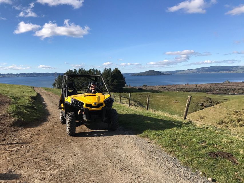 Rotorua: 4×4 Self-Drive Buggy Tour Through Farm and Bushland - Rotorua 4×4 self-drive buggy: the vibe you’re signing up for