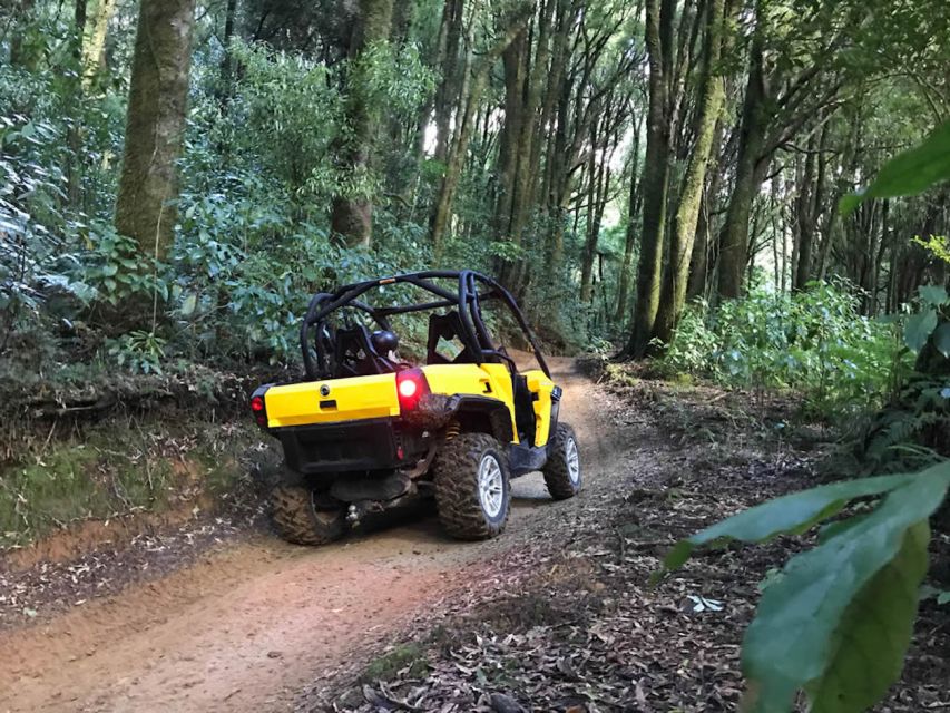 Rotorua: 4×4 Self-Drive Buggy Tour Through Farm and Bushland - Your guide is always nearby (not just at the start)