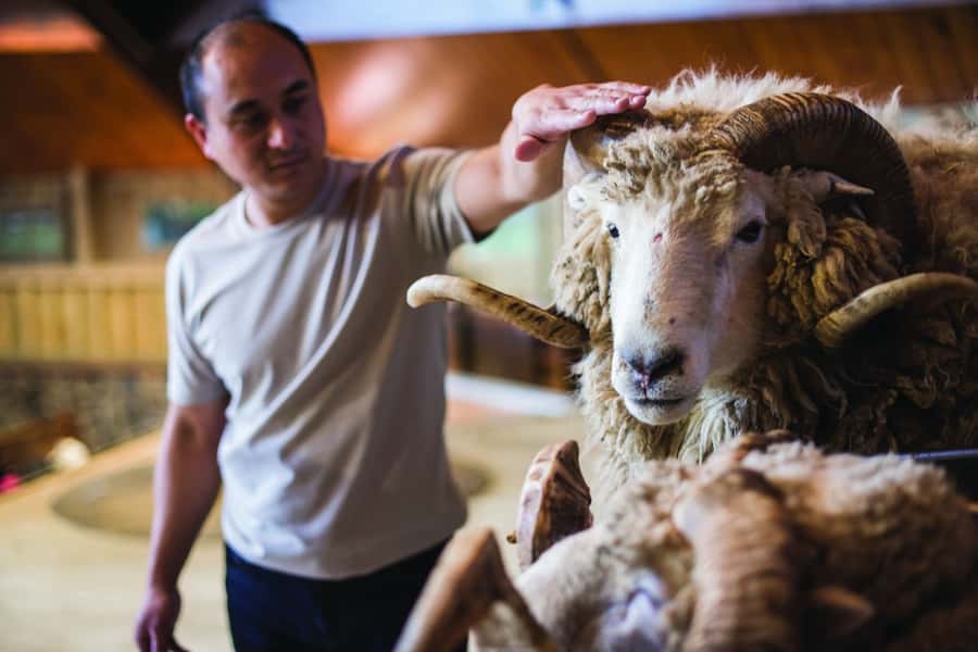 Rotorua: Authentic Kiwi Farm Experience at the Agrodome - Price and Value: Is $38 a Good Deal for 150 Minutes?