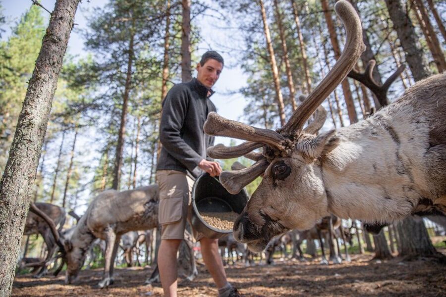 Rovaniemi: Authentic Reindeer Farm & Canoeing - Who This Tour Fits Best