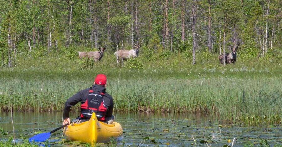 Rovaniemi: Authentic Reindeer Farm & Canoeing - Reindeer Farm Meets Real Lapland Calm