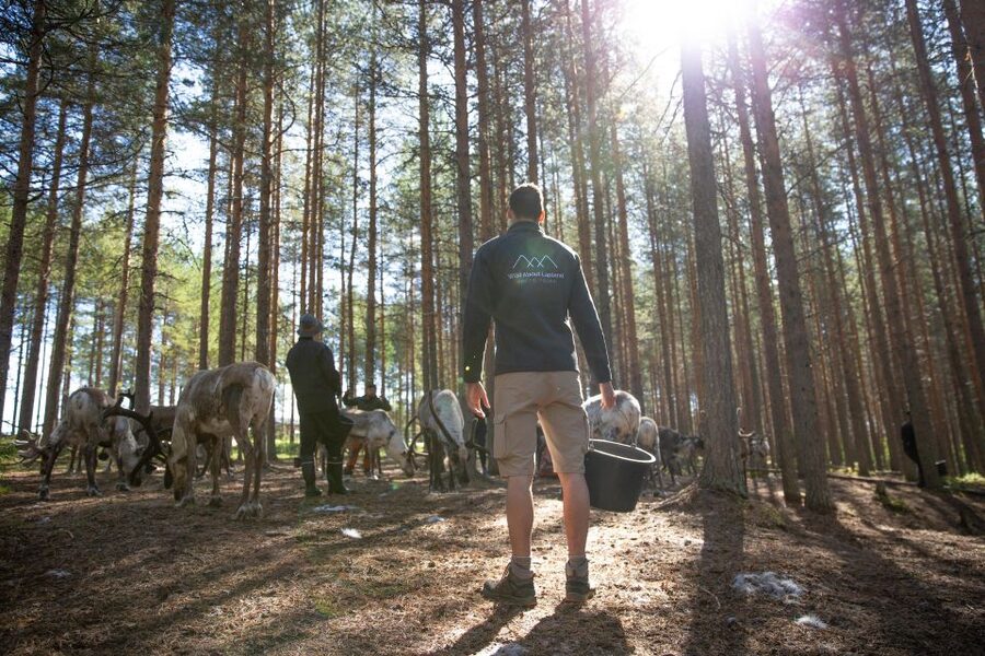Rovaniemi: Authentic Reindeer Farm & Canoeing - Small Group Size: Less Crowding, More Attention