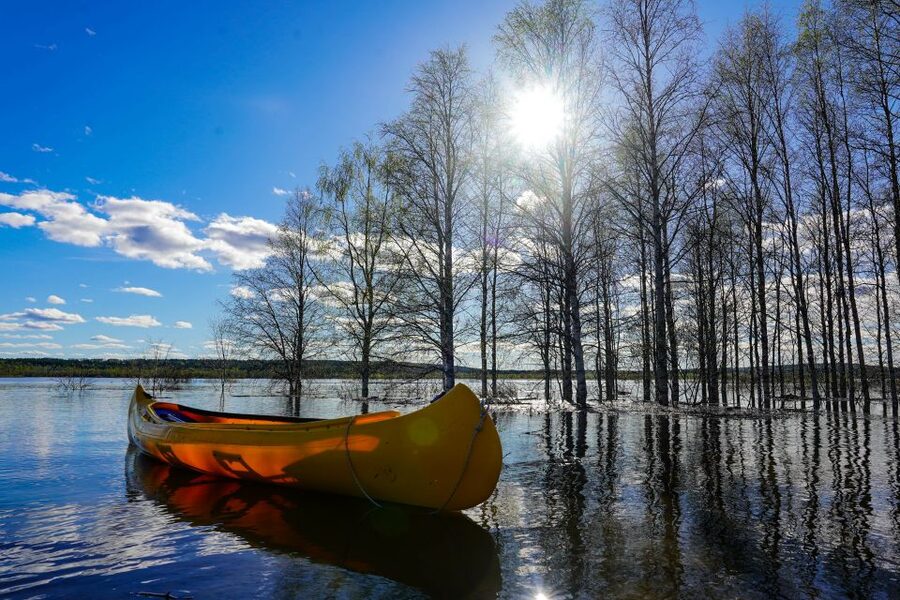 Rovaniemi: Authentic Reindeer Farm & Canoeing - Sustainable Tourism Angle That’s Easy to Support