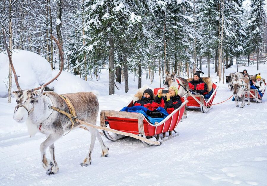 Rovaniemi: Authentic Reindeer Farm Visit & Short Sleigh Ride - Key highlights worth your attention