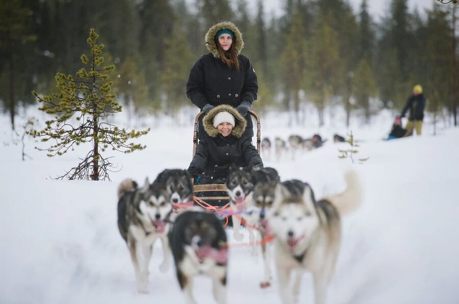 Rovaniemi: Family Friendly Husky Ride and Farm Visit - Logistics That Matter: Meeting Point, Timing, and Group Size Rules