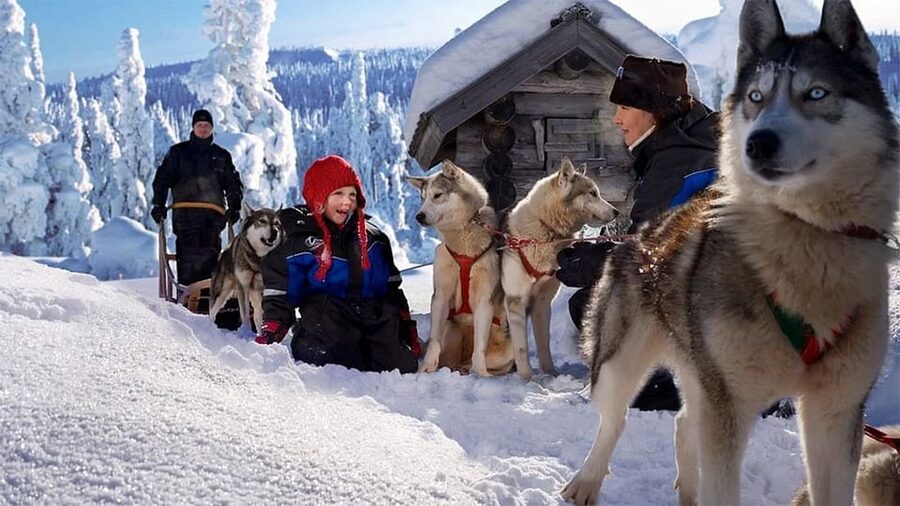 Rovaniemi: Family Friendly Husky Ride and Farm Visit - Arriving at the Farm: What You’ll Do Before You Ever Sit in the Sleigh