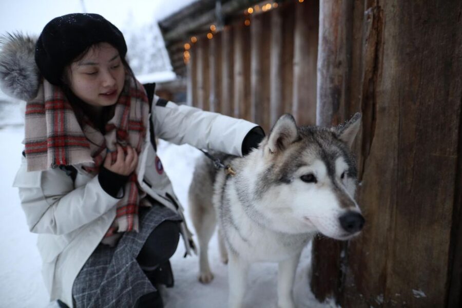 Rovaniemi: Husky and reindeer farm visit with sleigh rides - Who This Tour Fits Best (and Who Should Consider Alternatives)