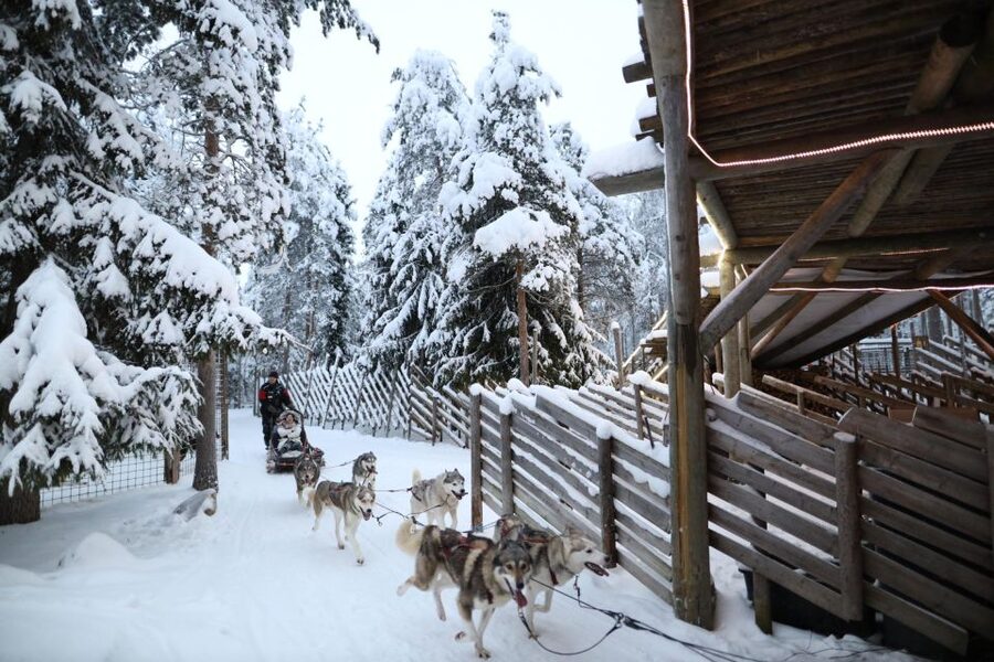 Rovaniemi: Husky and reindeer farm visit with sleigh rides - Huskies at the Park: Learning Their Routine and Riding 1 km
