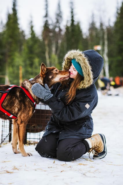 Rovaniemi: Husky and Reindeer farm with sleigh ride - Price and value: is $259 per person worth it?