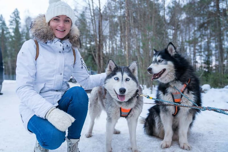 Rovaniemi: Husky Farm and Reindeer Experience - Reindeer Manor pickup: how the tour keeps the day efficient