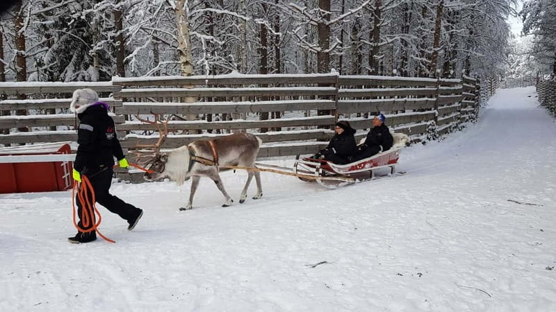 Rovaniemi: Husky Farm and Reindeer Experience - Price and value: is $185 worth it?