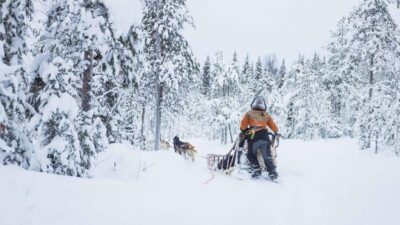 Rovaniemi: Husky Farm Visit with a Sledge Ride - The 1-kilometer sled ride: what you’ll actually feel on the snow