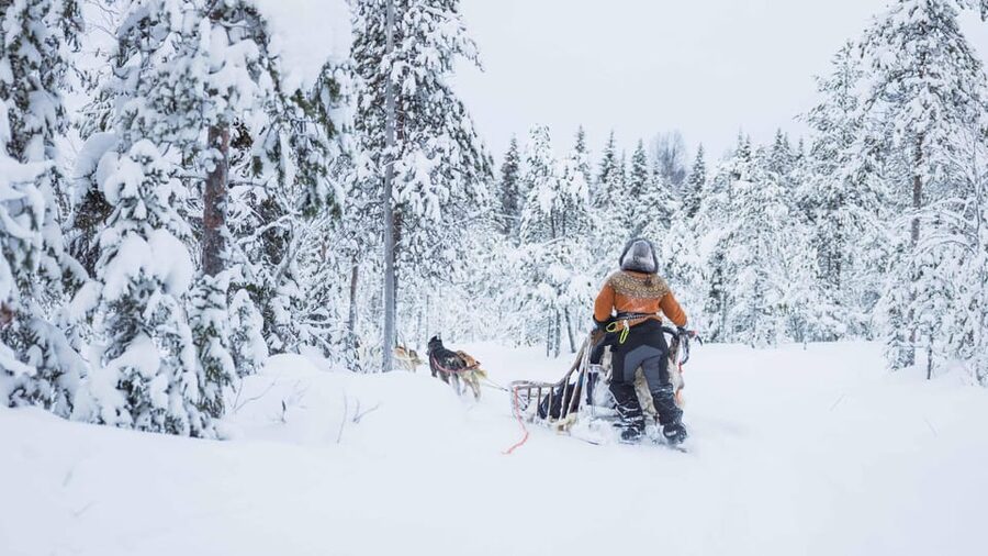 Rovaniemi: Husky Farm Visit with a Sledge Ride - The 1-kilometer sled ride: what you’ll actually feel on the snow