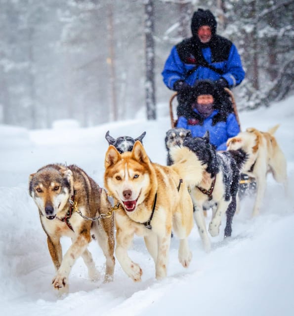 Rovaniemi: Husky Sled Ride and Farm Visit - Price and Value: Is $117 Per Person Fair?