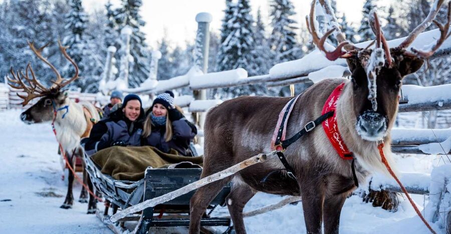 Rovaniemi: Local Reindeer Farm Visit with Sleigh Ride - Should you book this Rovaniemi reindeer farm visit?