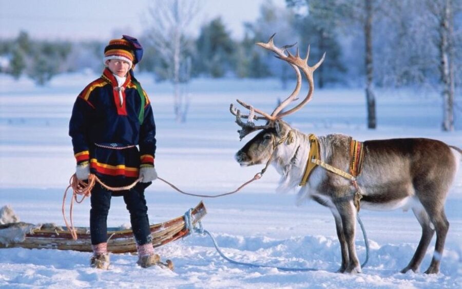 Rovaniemi: Reindeer Farm Tour with Sledge Ride & Pickup - Price and value: does $147 for 2 hours make sense?