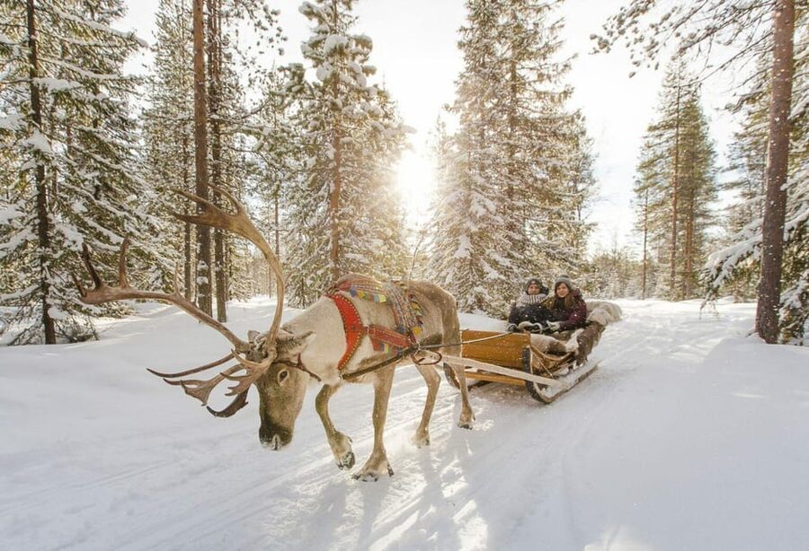 Rovaniemi: Reindeer Farm Visit and Sleigh Ride with transfer - Timing and pacing: why it can feel rushed even when it’s good