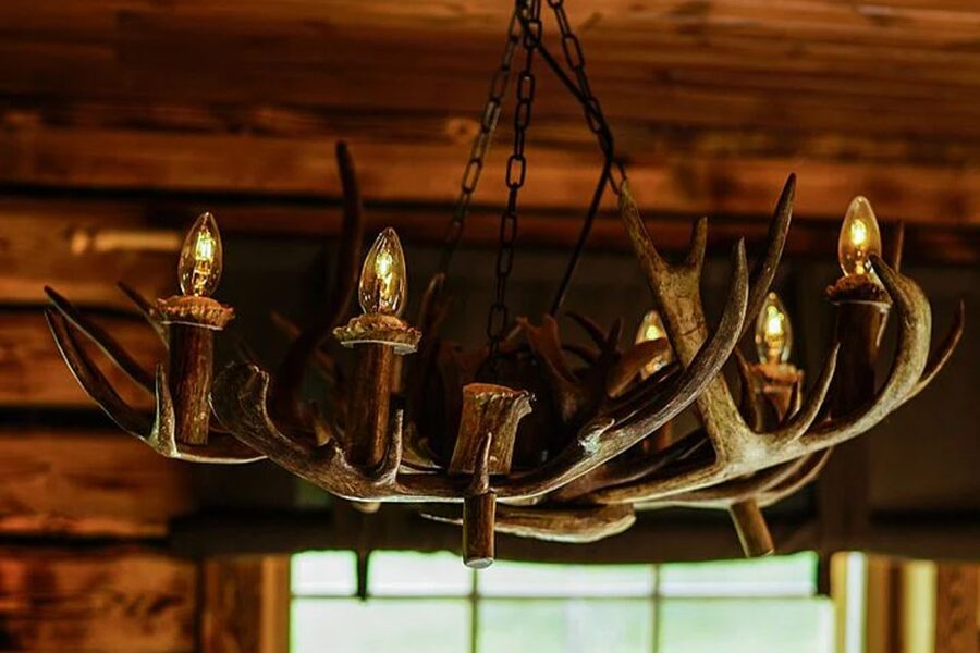 Rovaniemi: Reindeer Farm Visit in the Summer - Key things to know before you go