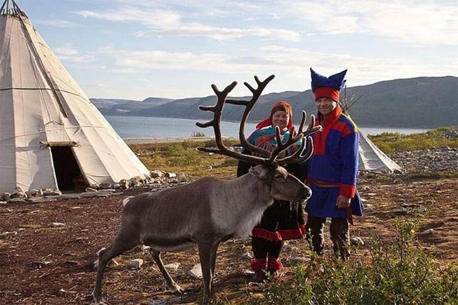 Rovaniemi: Reindeer Farm Visit in the Summer - Food on-site: Finnish snacks, hot drinks, and buffet lunch