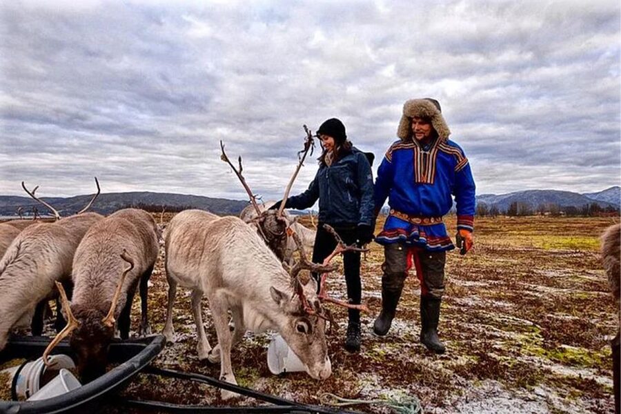 Rovaniemi: Reindeer Farm Visit in the Summer - Where you start: meeting point in central Rovaniemi