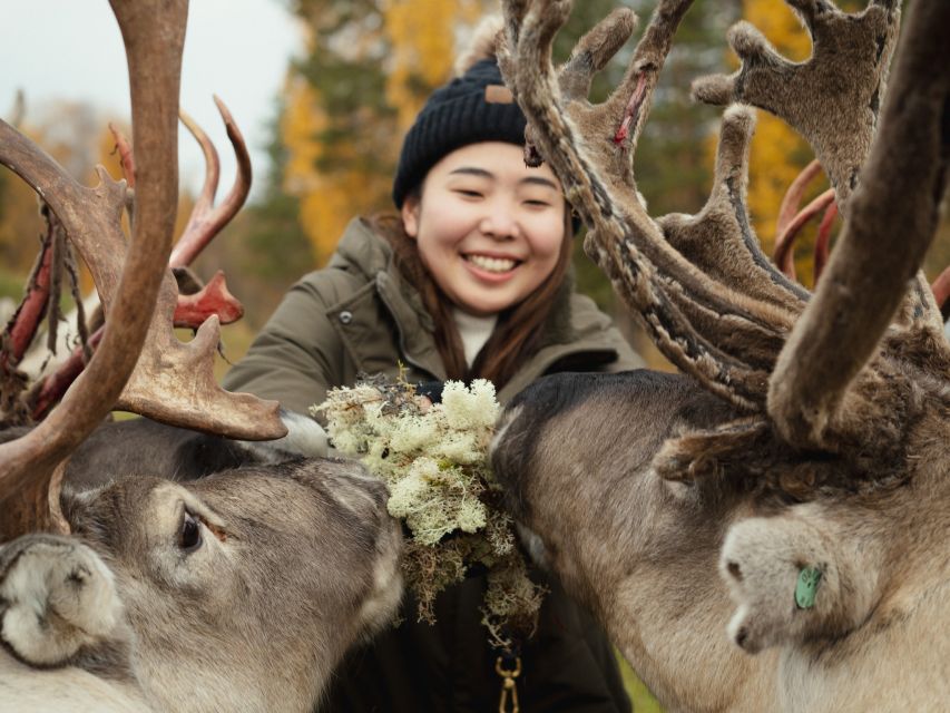Rovaniemi: Reindeer Farm Visit with Photographer - The photographer advantage: photos without the scramble