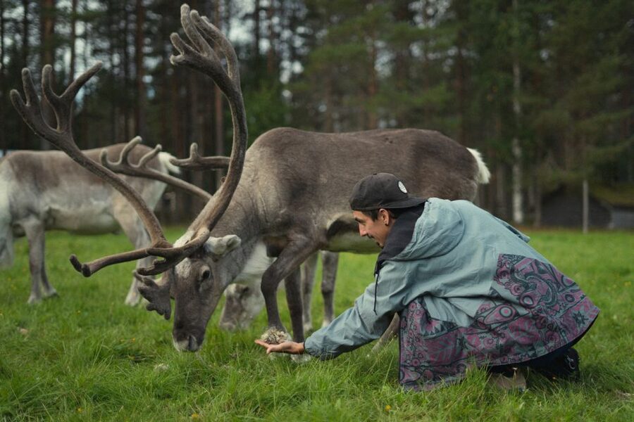 Rovaniemi: Reindeer Farm Visit with Photographer - Who this tour is best for