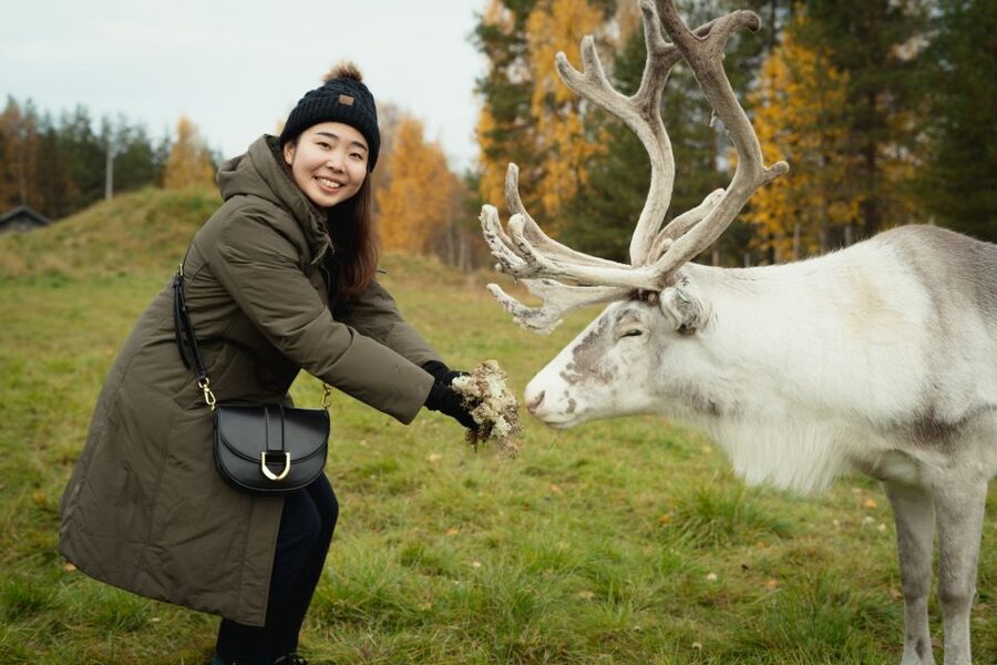Rovaniemi: Reindeer Farm Visit with Photographer - Feeding and interacting with reindeer up close