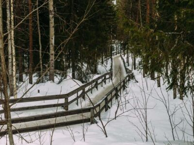 Rovaniemi: Reindeer Farm Visit with Sleigh Ride & Pickup - The Route Includes Two En Route Stops (Yes, Really)