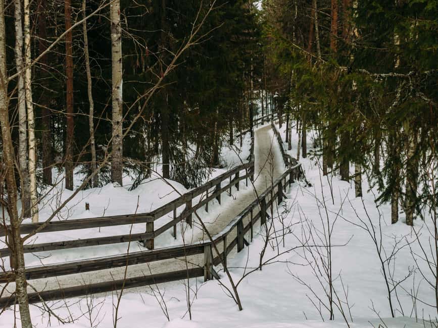Rovaniemi: Reindeer Farm Visit with Sleigh Ride & Pickup - The Route Includes Two En Route Stops (Yes, Really)