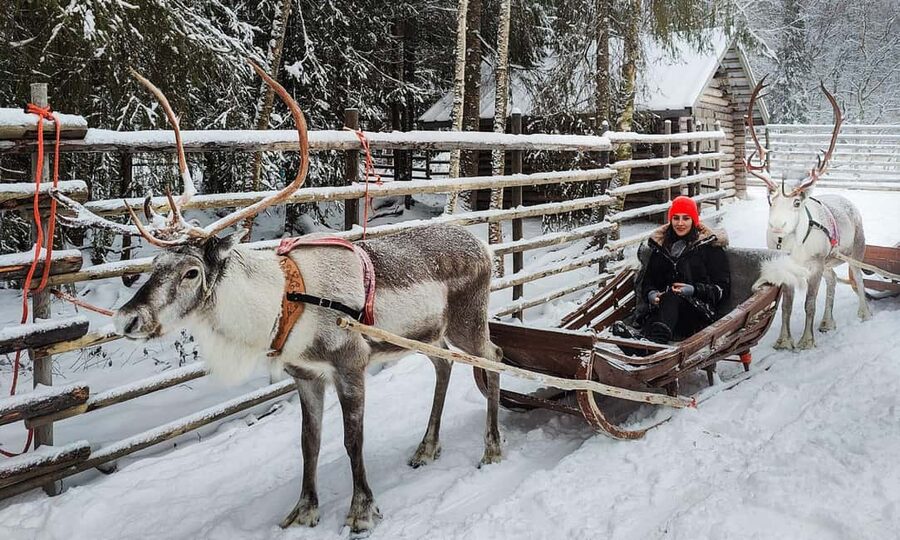 Rovaniemi: Reindeer Farm Visit with Sleigh Ride & Snacks - The Sleigh Ride Through Snow: What You Get for 400–500 Meters