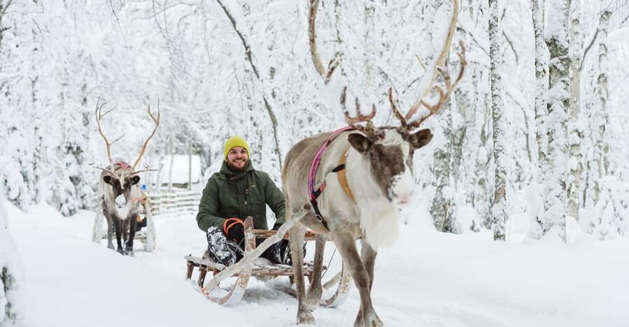 Rovaniemi: Saami Reindeer Farm Visit & Sleigh Ride - Why a Sámi Reindeer Farm Ride Feels Different in Rovaniemi