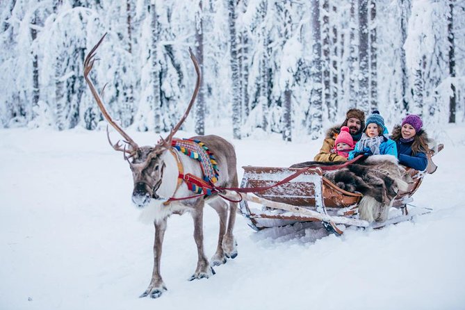Rovaniemi Santa Claus Village Husky Reindeer Farm Arctic Museum - Price and logistics: what you’re really paying for