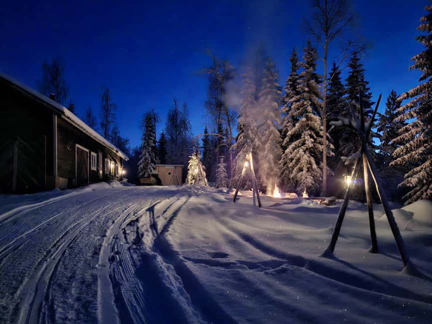 Rovaniemi:Self-drive Husky safari with a Reindeer Farm visit - From Rovaniemi pickup to a husky kennel in the snow