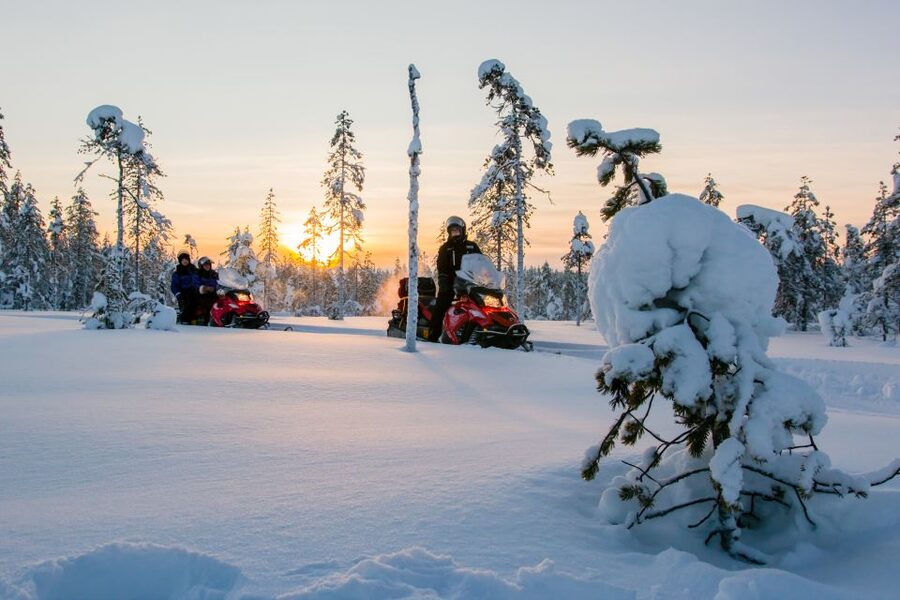 Rovaniemi: Snowmobile Safari to a Reindeer Farm - Key highlights worth your attention
