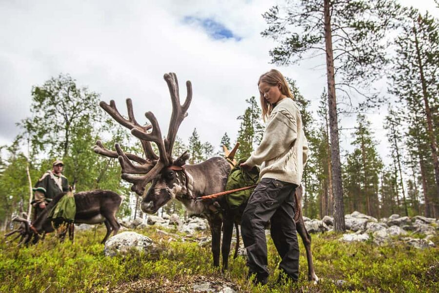 Rovaniemi: Summer/Autumn Reindeer Farm Experience - Tips to make the most of your visit