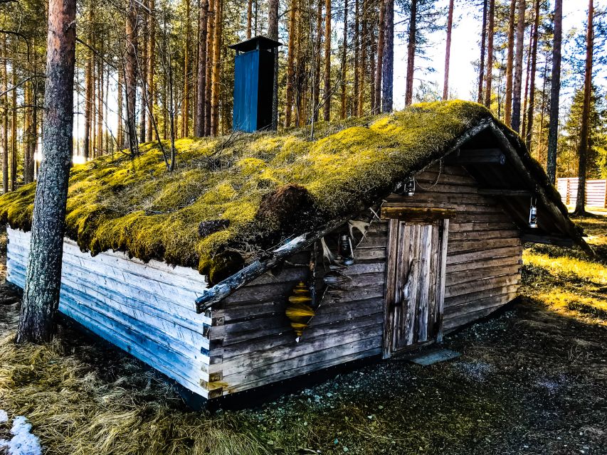 Rovaniemi: Summer Reindeer Farm Experience - Key highlights you’ll care about before you go
