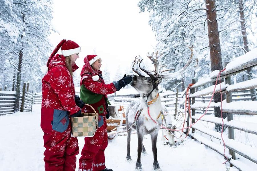 Rovaniemi: Visit to Santa's reindeer farm with reindeer ride - Arriving at Santa Claus Safaris Elf Adventure Center (and why timing matters)