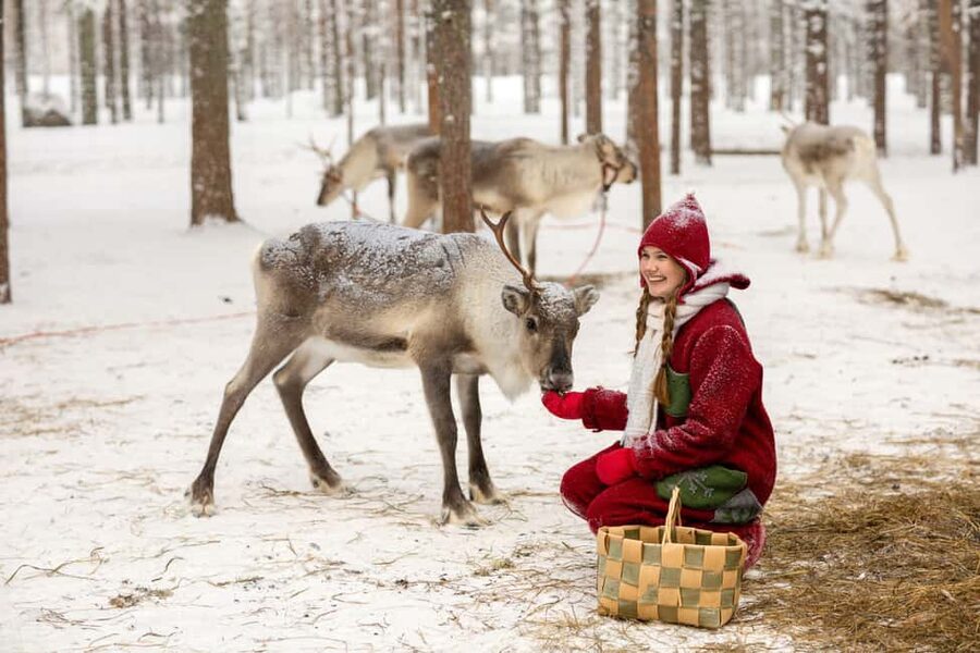 Rovaniemi: Visit to Santa's reindeer farm with reindeer ride - Price and value: is $140 per person worth it?