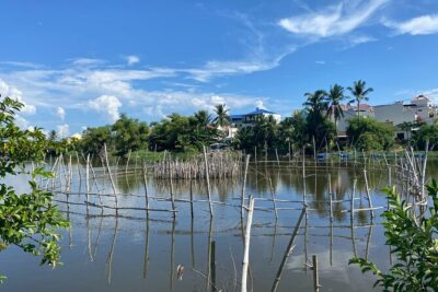 Rural Hoi An Cycling, Cooking Class at Organic Farm - How the Day Flows: An Mỹ, Ba Le Market, and Tra Que Farm Time